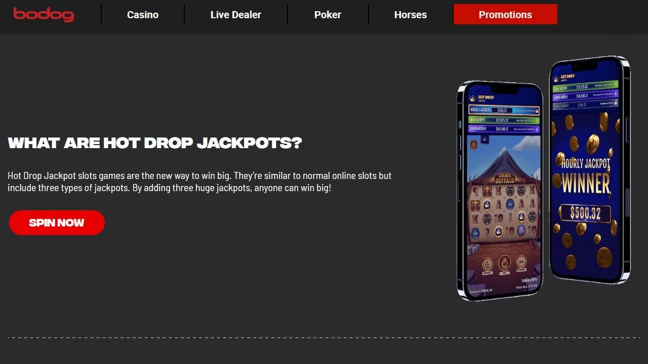 Bodog Casino No Deposit Bonus Codes